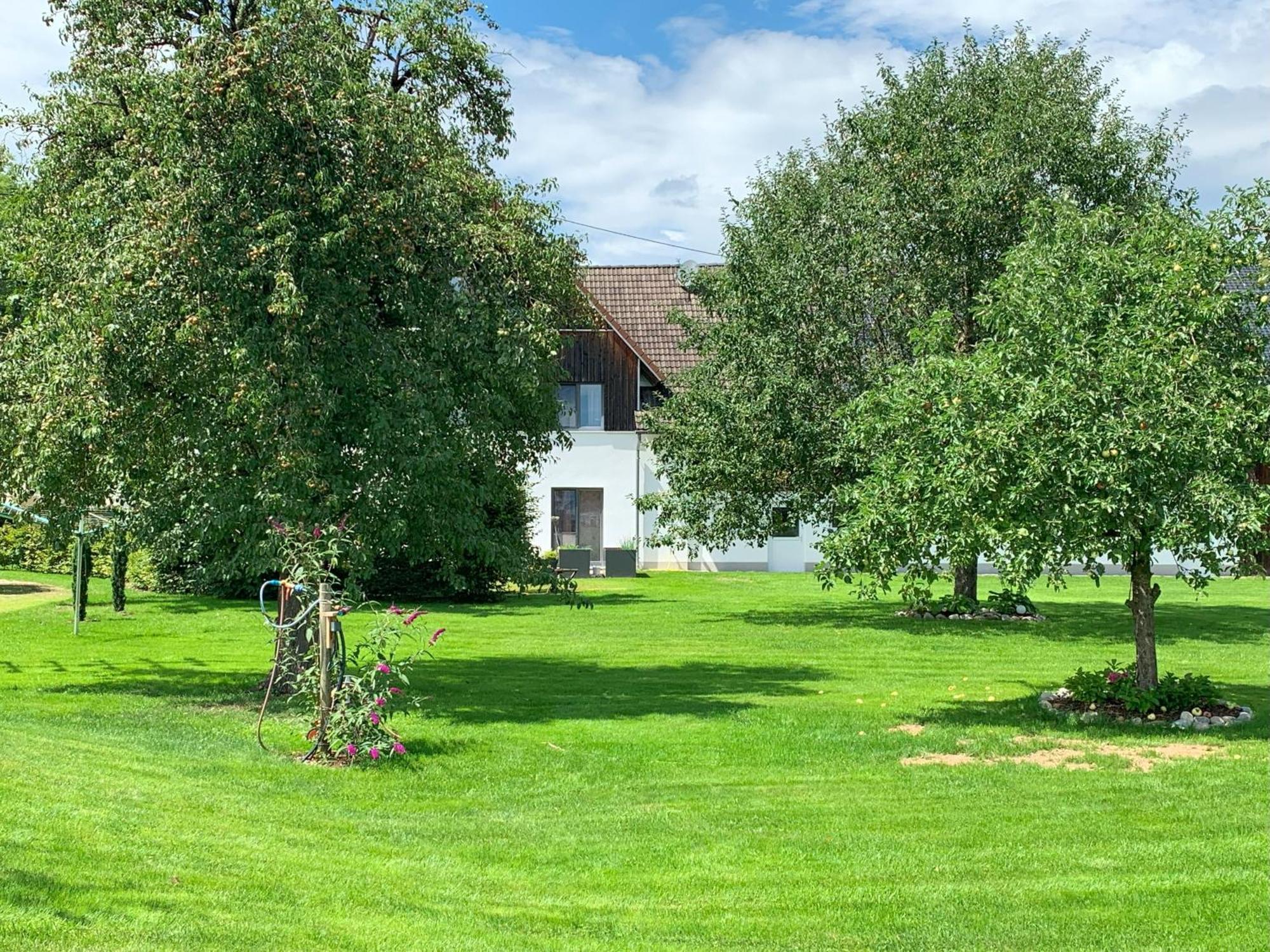 Ferienwohnung Fe Wo Brunnen - 120 Qm- Quiet Location- Lots Of Nature - Comfortable - Large Balkony And Garden Memmingen Exterior foto